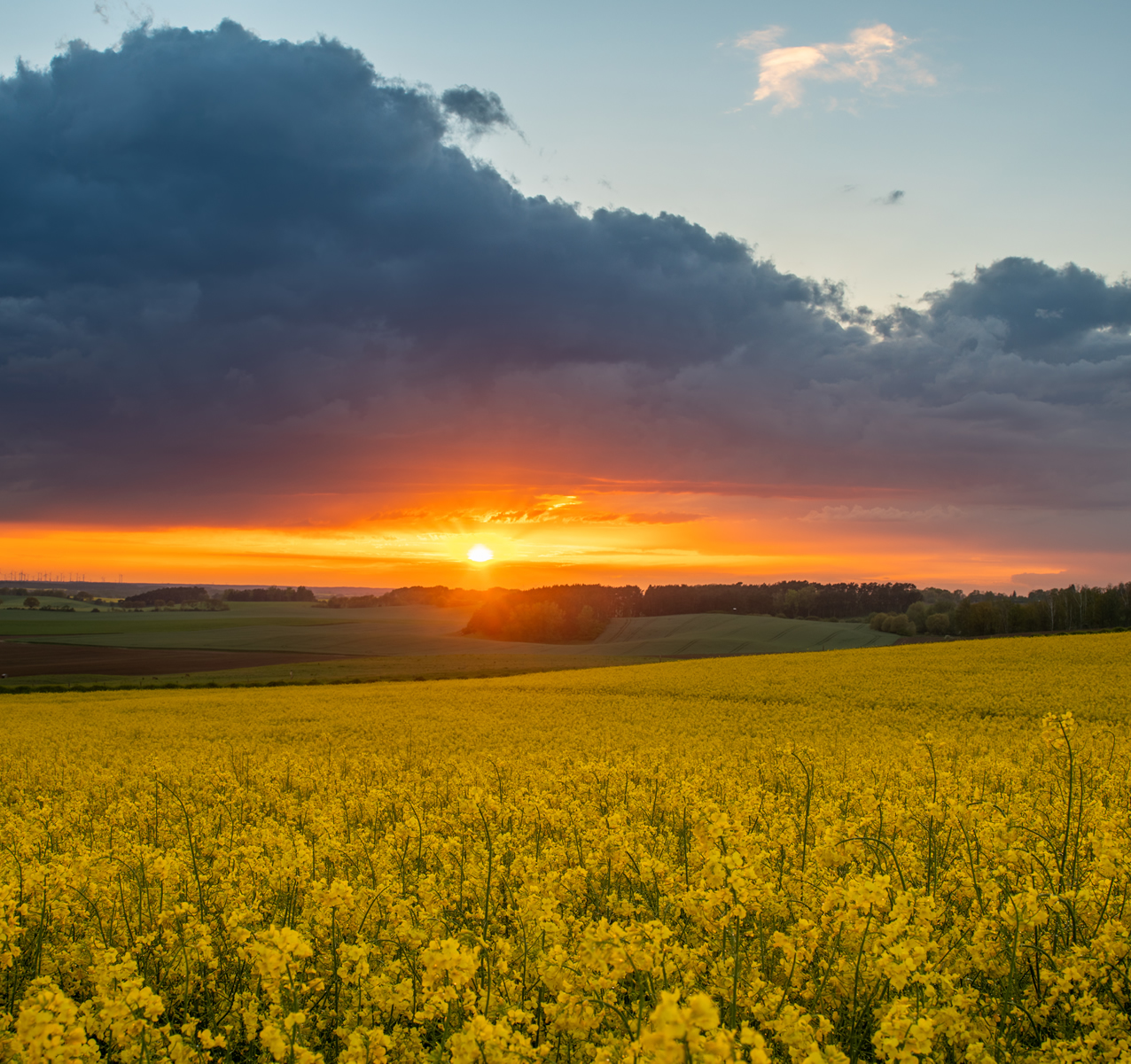 O caminho para o seu terreno próprio